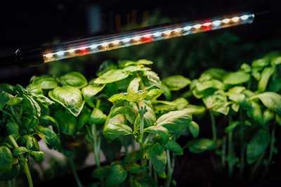 Hello Pizza Kirkdale