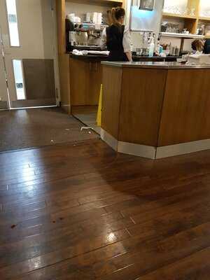 Castle Carvery Racecourse