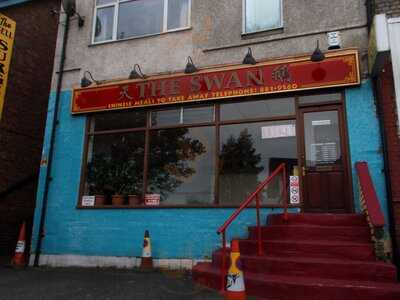 The Swan