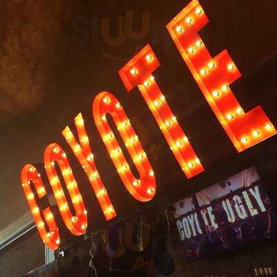 Coyote Ugly Saloon