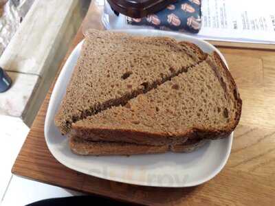 Heal For Real Organic Juice Bar