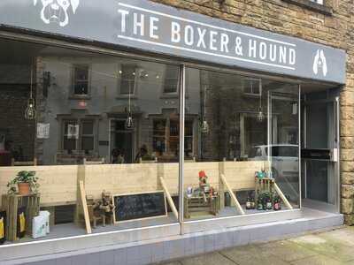 The Boxer And Hound
