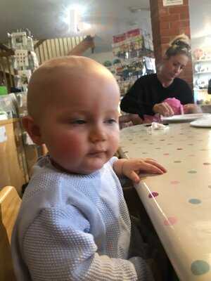 The Willow Gallery Cafe