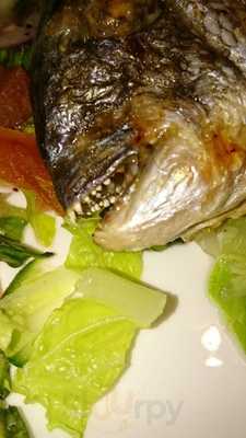 Canbaz Bar And Grill