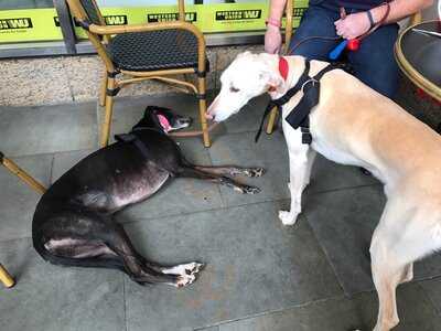 Caffe Nero - Norwich