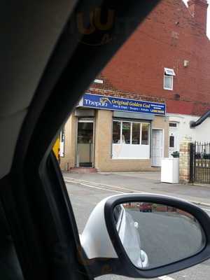 Thepan Original Golden Cod