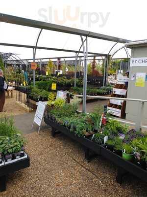 Greenhouse Coffee Shop