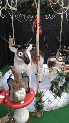 Greenhouse Coffee Shop