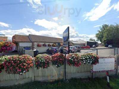 Greenhouse Coffee Shop