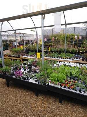 Greenhouse Coffee Shop