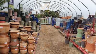 Greenhouse Coffee Shop