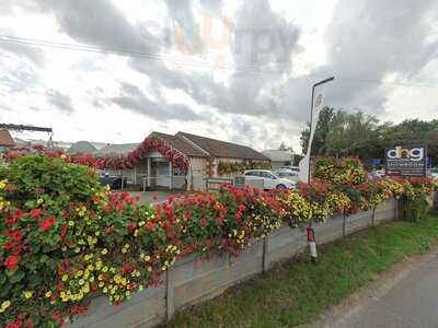 Greenhouse Coffee Shop