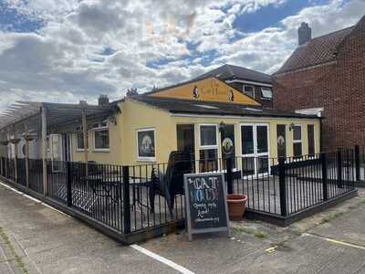 Stray Cat Cafe Gallery