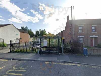 Stray Cat Cafe Gallery