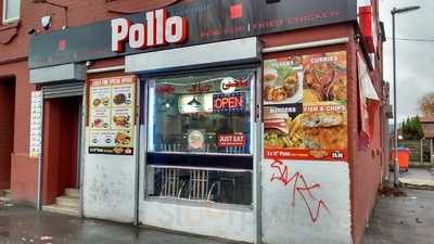 Pollo