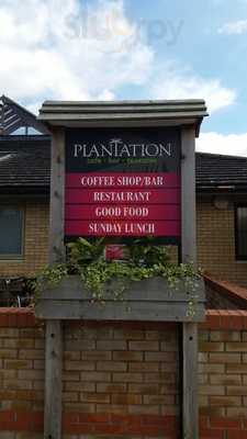 The Plantation