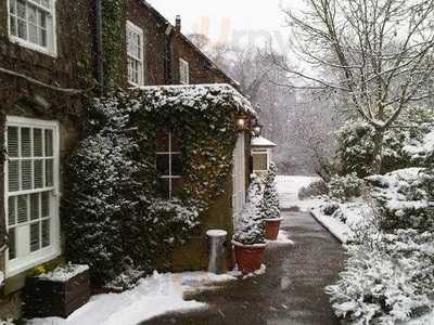 Tree Bridge Hotel & Restaurant