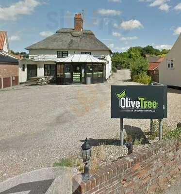 Olive Tree