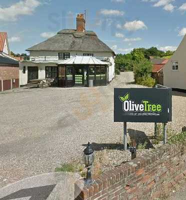 Olive Tree