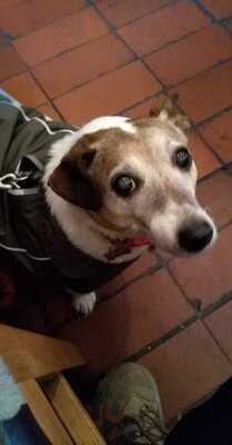 Stork Lodge Tea Room