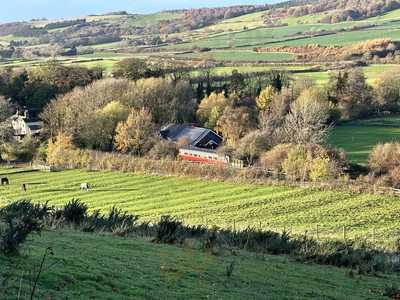 Branch Walkway Cafe Guisborough