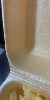 Efes Pizza & Kebab House Skellow