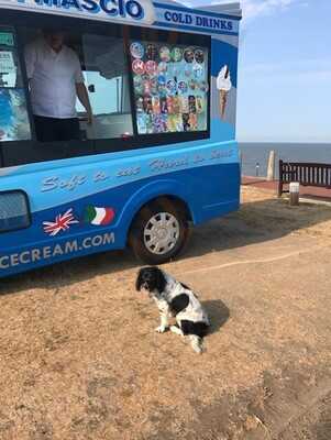 Dimascio Ice Cream Ltd