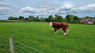 The Cruck Barn Cafe