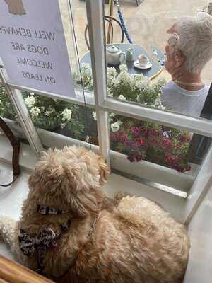 The Princess Cafe & Harbour Restaurant