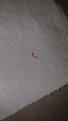 Freddys Chicken And Pizza