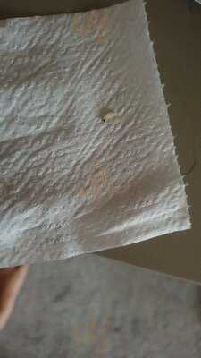 Freddys Chicken And Pizza