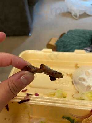 Canaries Pizza And Kebab