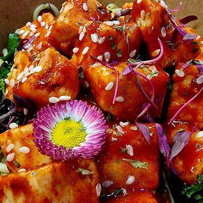 Food Fusion Nutrition