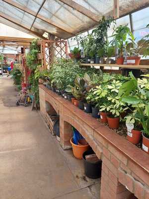 Taverham Nursery