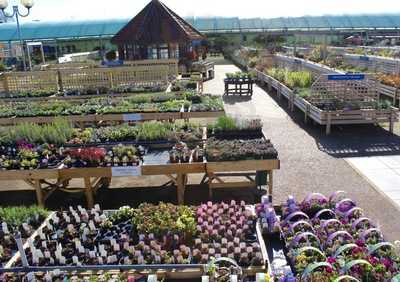 Taverham Nursery