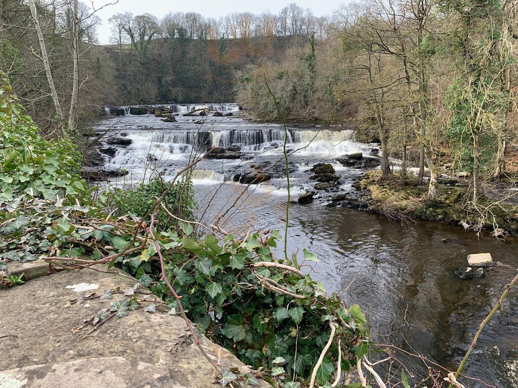 The Falls