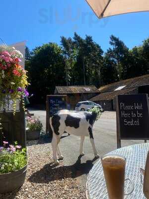 Miss Daisy's Tearoom At Sutton Park