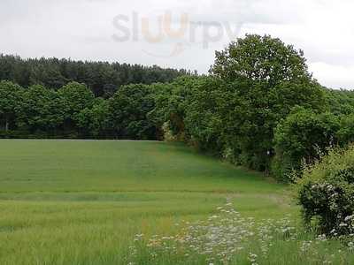 Waterton Hall Golf Club