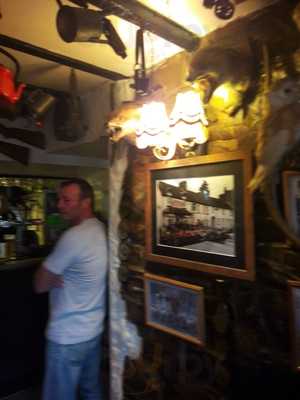 The Blueberry Music House