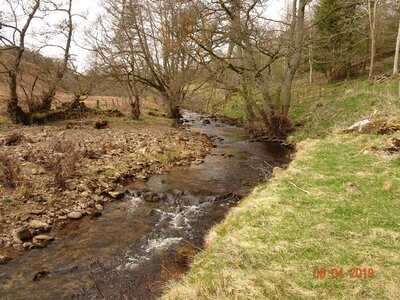 Helwith Tea Garden And B And B