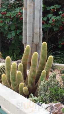 Botanical Gardens Cafe And Restaurant