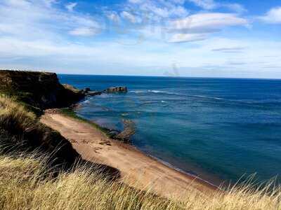 Hornblower Tea Garden