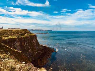 Hornblower Tea Garden