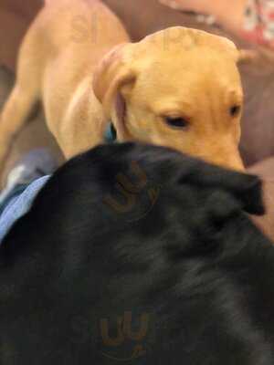 Storehouse Bar & Eatery