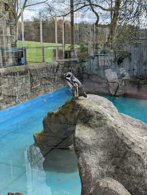 The Courtyard Cafe At Harewood