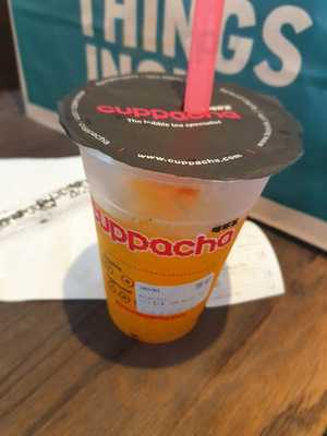 Cuppacha