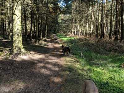 Swallows Nest Restaurant