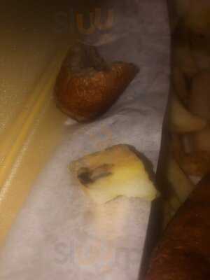 Nash's Traditional Fisheries