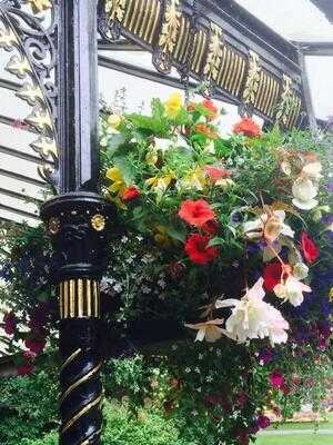 Magnesia Well Tea Room