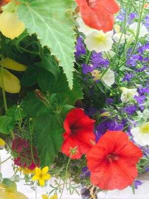 Magnesia Well Tea Room